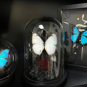 Nuggets（Remastered Mix）