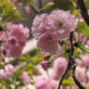 所以我伸出了手