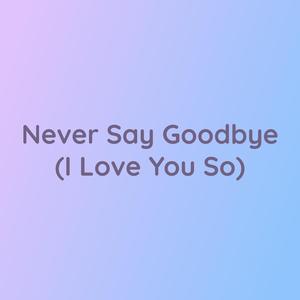 Never Say Goodbye (I Love You So)