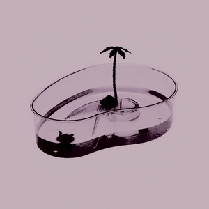 TORTUGUERA 2 (mas plástico aún)