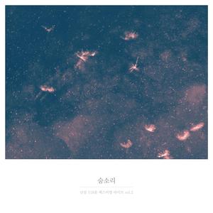 숨소리 (난장 518분 페스티벌 라이브)