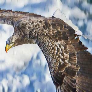 Eagle