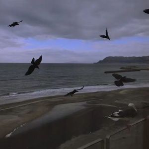 激流 （prod.Ray&Prody.byRAY&VVSMELODY)