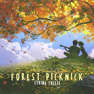 forest picknick