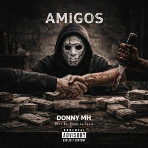 AMIGOS