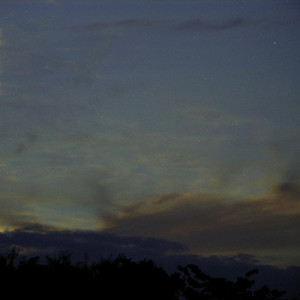 草原の夢と子供達