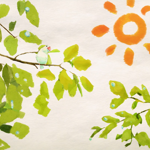 从不 (cover 刘雨昕)