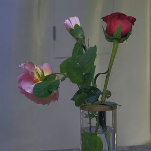 理想三旬（吉他弹唱）