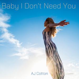Baby I Don't Need You