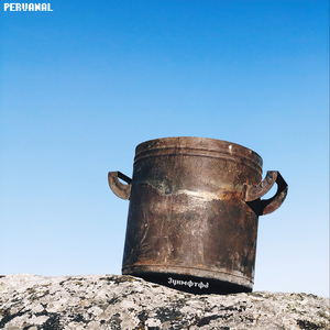 Болотный мох