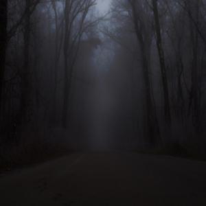 Fallen Angels (feat. LV*RK)