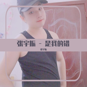 张宇振 - 是我的错