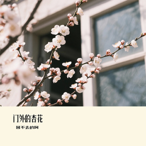 门外的杏花