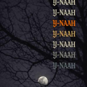 Y-NAAH
