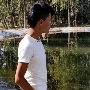 群星-EsiT Sanga Koyganlirm（Halip-offical Remix）