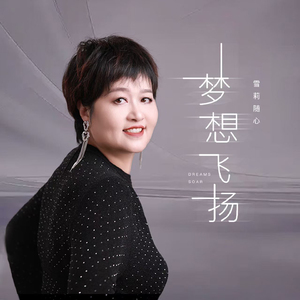 梦想飞扬