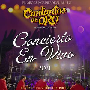 Parranda 7: Negrita Dejate Ver / Susana / Quererte Fue Mi Castigo / Olvidate