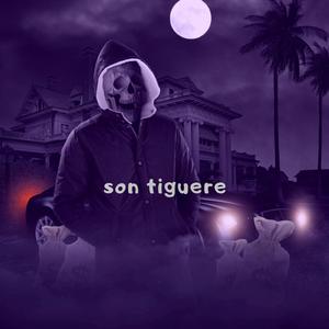 SON TIGUERE