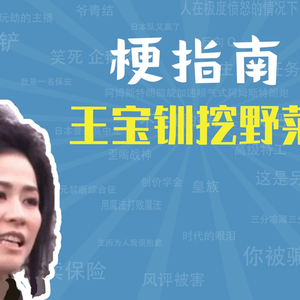 王宝钏挖野菜是什么梗【梗指南】