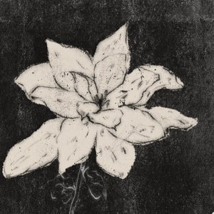 light rain（小雨）