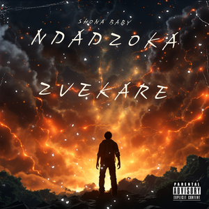Ndadzoka Zvekare