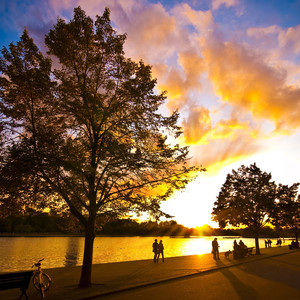 影からあなたの魂へ