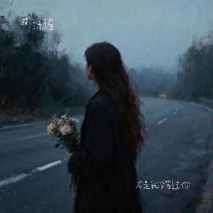 不是我没等过你 (Cover 任夏)