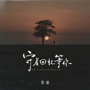 守着回忆等着你 (DJ青村秀和版)