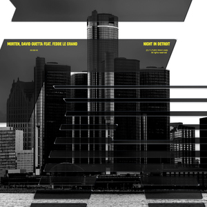 Night In Detroit (feat. Fedde Le Grand)
