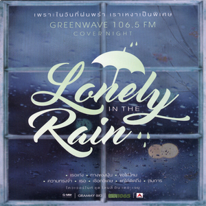 ลืมไปไม่รักกัน