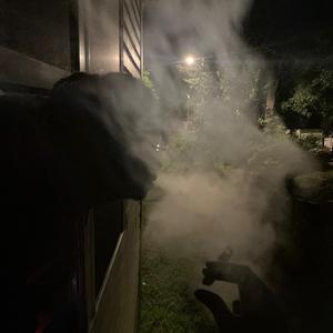 Temper. (P.damnzato)