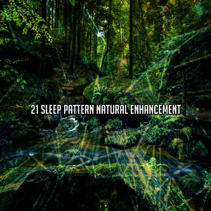 在自然奇观的世界中