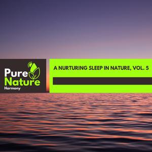 Pleasant Hissing Steam Vent