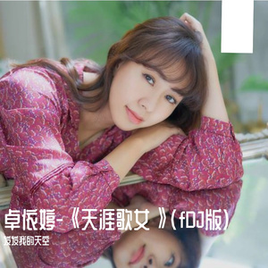 天涯歌女(DJ默涵片段版)（发发我的天空 remix）