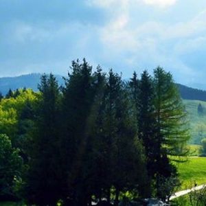 你知道的我未曾到过 (17)