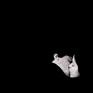 八个小时后的释怀