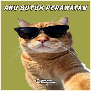 Aku Butuh Perawatan (Remix)