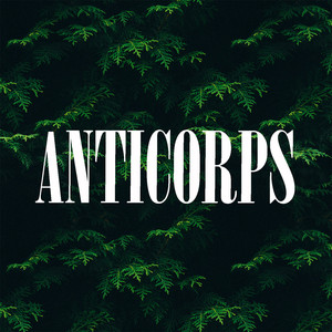 Anticorps