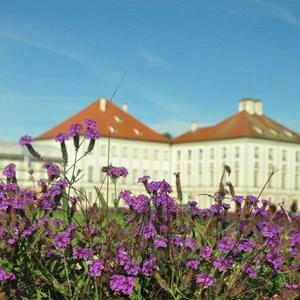 再也不会遇见第二个她了