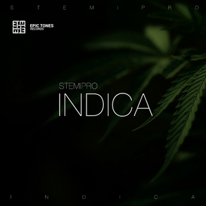 Indica (Original Mix)