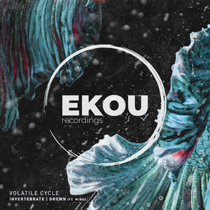 Invertebrate (Original Mix)