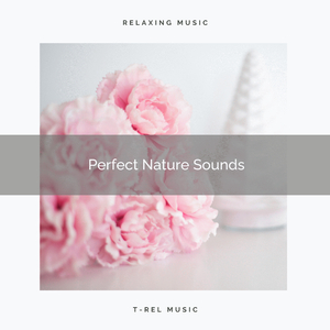 Smile, Gain Inner Peace Nature Music for Peaceful Recharge