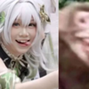 猪突猛进（漫展版）