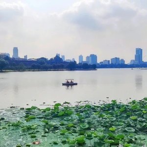 玄武湖边上吃奶油泡芙