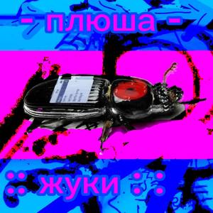 Жуки