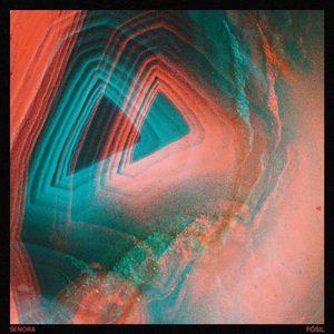 El Elefante Que Siempre Andaba Solo