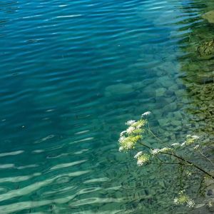 锁门前三秒的寂静之境