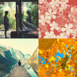 抚慰的回春回忆