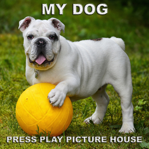 My Dog