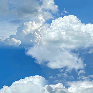 我们永远 不会倒下